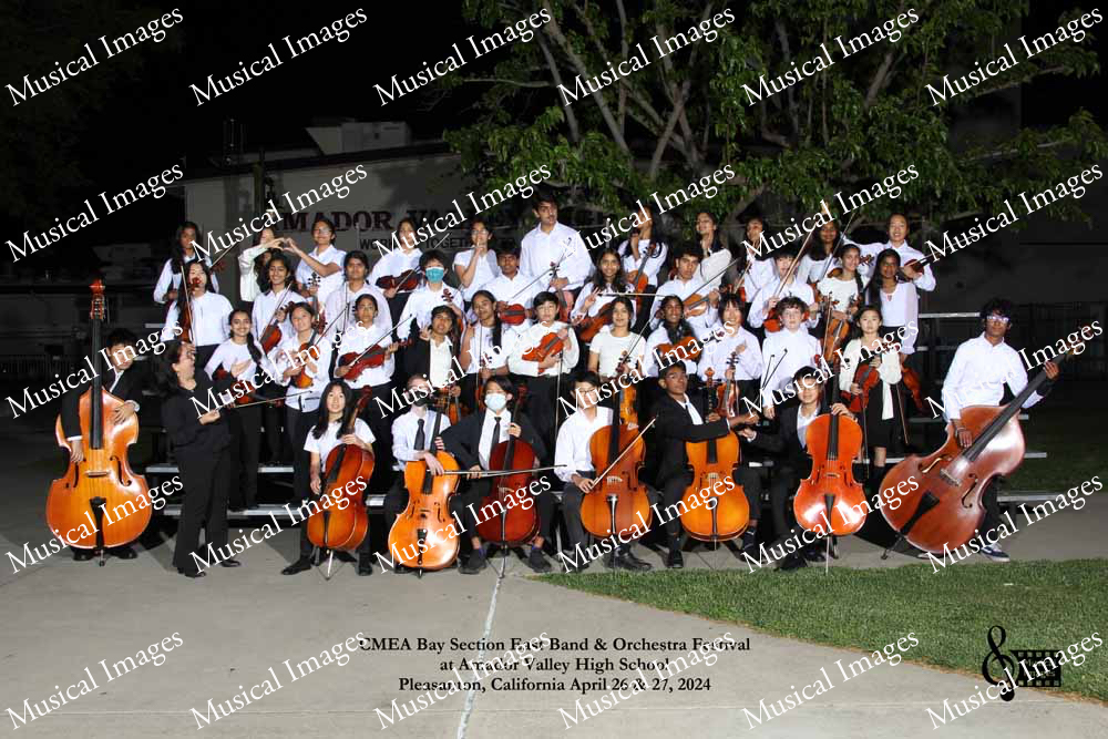 Musical Images